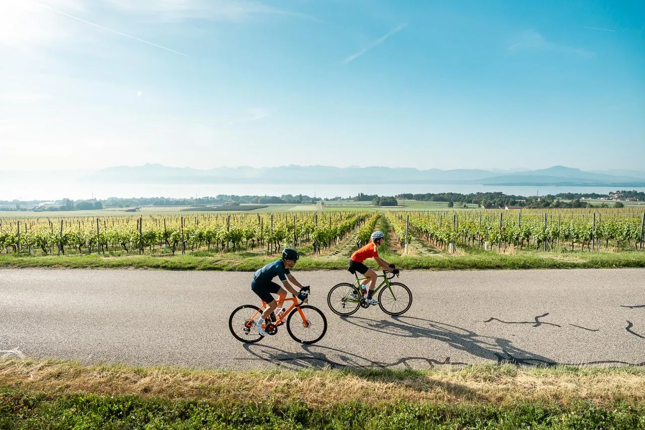 Tour guidato in bicicletta